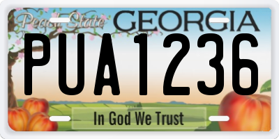GA license plate PUA1236
