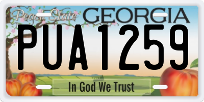 GA license plate PUA1259