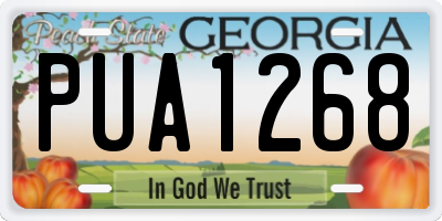GA license plate PUA1268