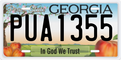GA license plate PUA1355