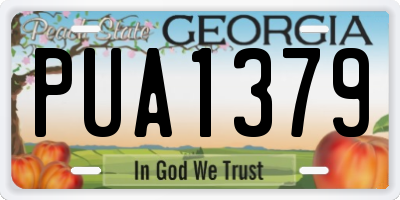 GA license plate PUA1379