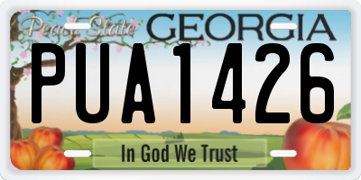 GA license plate PUA1426