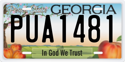 GA license plate PUA1481