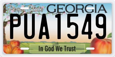GA license plate PUA1549