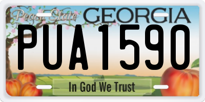 GA license plate PUA1590