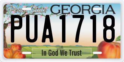 GA license plate PUA1718