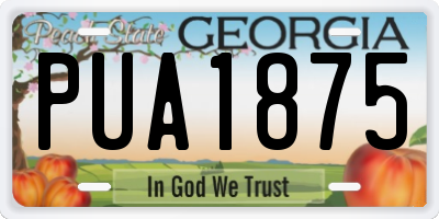 GA license plate PUA1875