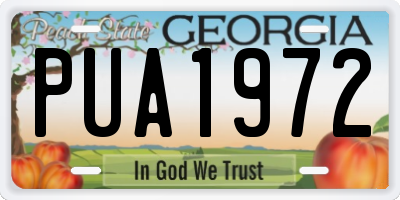 GA license plate PUA1972