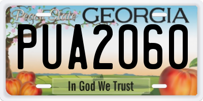 GA license plate PUA2060