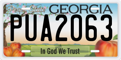 GA license plate PUA2063