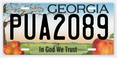 GA license plate PUA2089