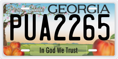 GA license plate PUA2265