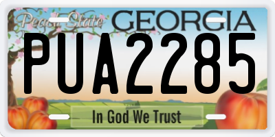 GA license plate PUA2285