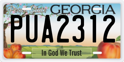 GA license plate PUA2312