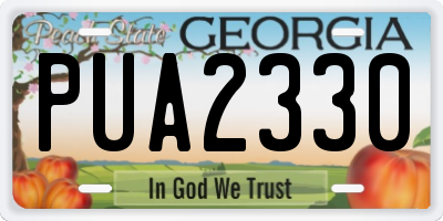 GA license plate PUA2330