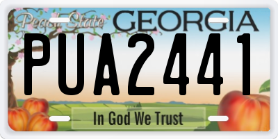 GA license plate PUA2441