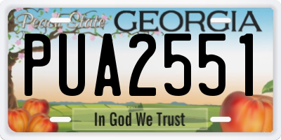 GA license plate PUA2551