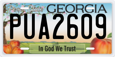 GA license plate PUA2609
