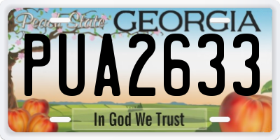 GA license plate PUA2633