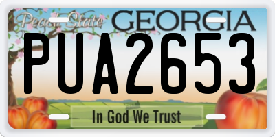GA license plate PUA2653