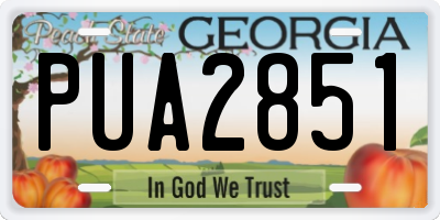 GA license plate PUA2851