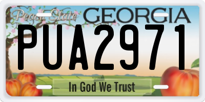 GA license plate PUA2971