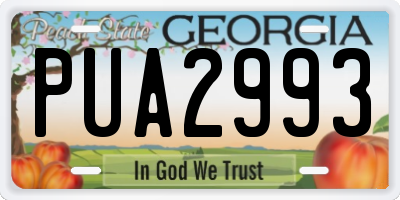 GA license plate PUA2993
