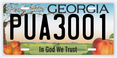 GA license plate PUA3001