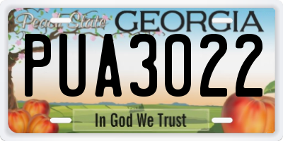 GA license plate PUA3022