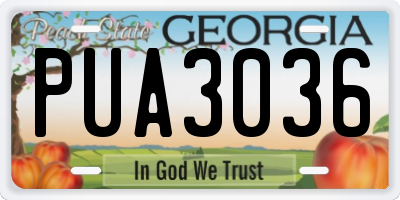 GA license plate PUA3036