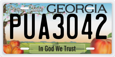 GA license plate PUA3042