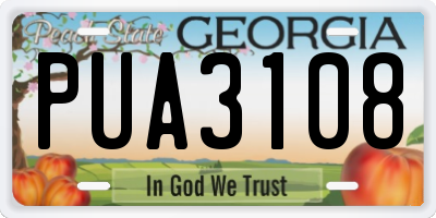GA license plate PUA3108
