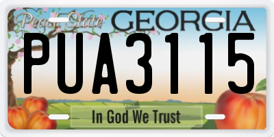 GA license plate PUA3115