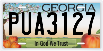 GA license plate PUA3127