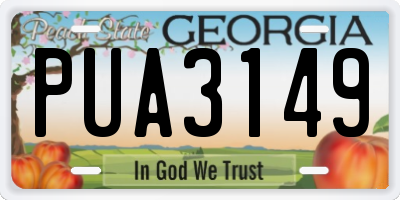 GA license plate PUA3149