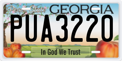 GA license plate PUA3220