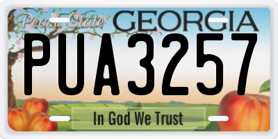 GA license plate PUA3257