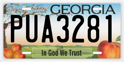 GA license plate PUA3281