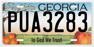 GA license plate PUA3283