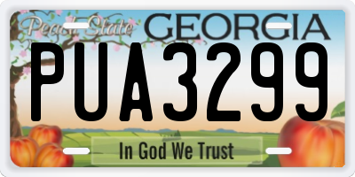 GA license plate PUA3299