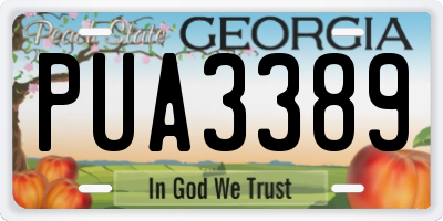 GA license plate PUA3389