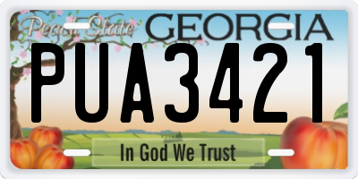 GA license plate PUA3421