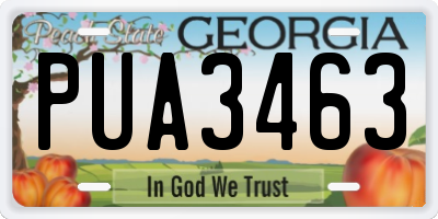 GA license plate PUA3463