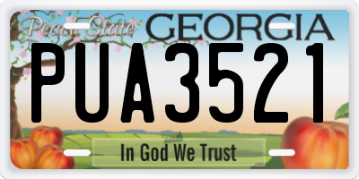 GA license plate PUA3521