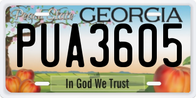 GA license plate PUA3605