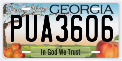 GA license plate PUA3606