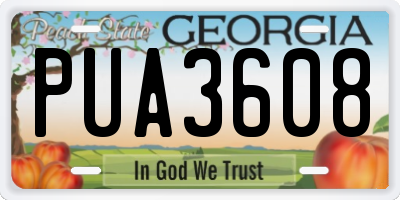 GA license plate PUA3608