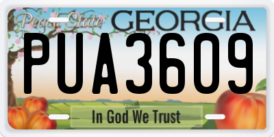 GA license plate PUA3609