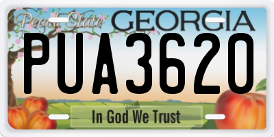 GA license plate PUA3620