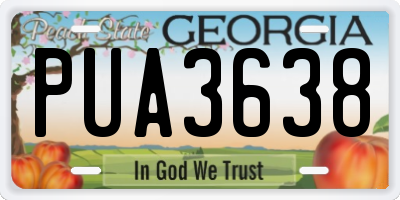 GA license plate PUA3638